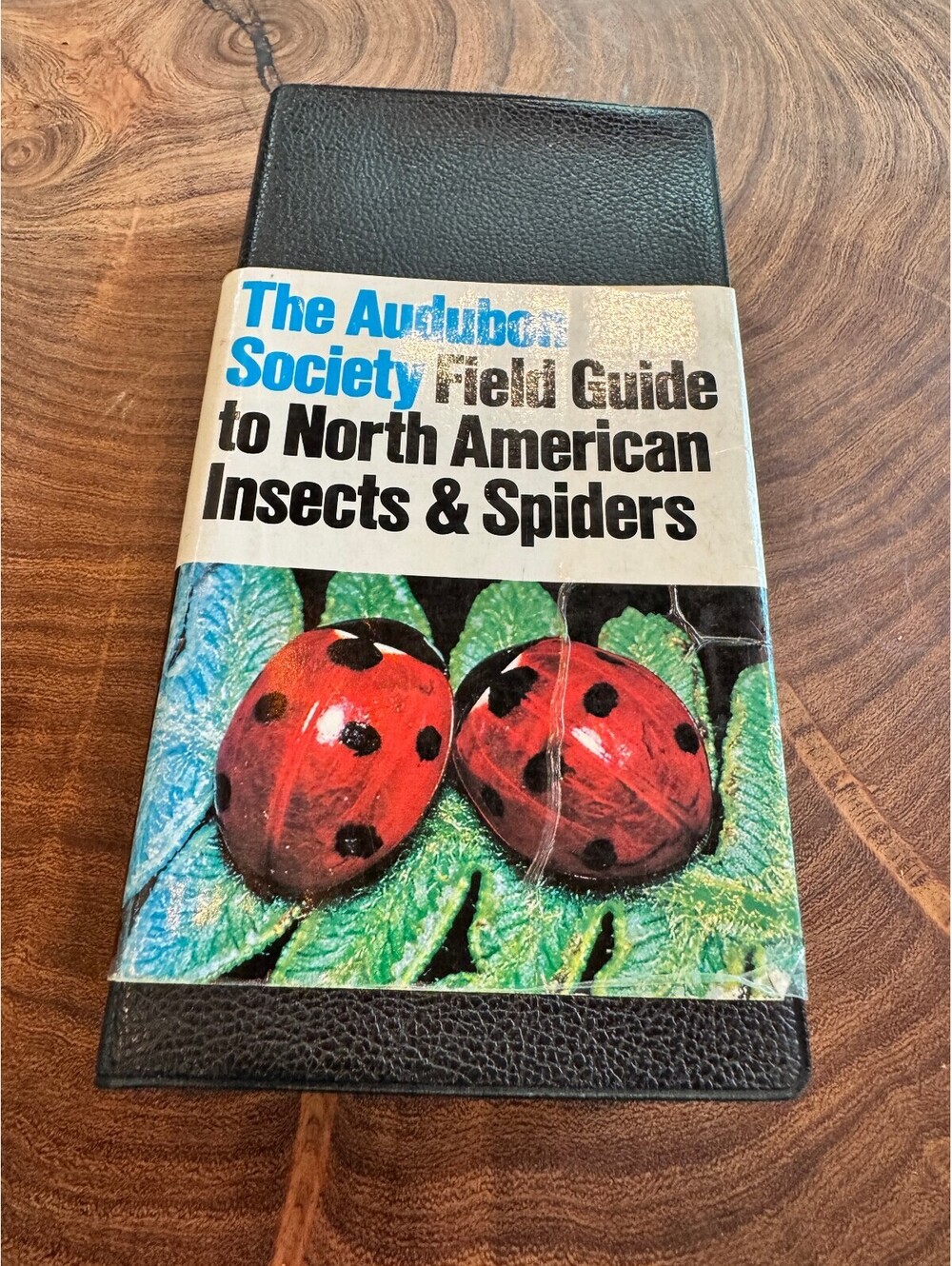 Vintage National Audubon Society Field Guide to North American Insects & Spiders
